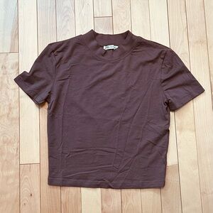 Zara Chocolate Brown Short Sleeve Tee